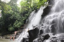 Bali Day Tour : Waterfall & Lempuyang Temple The Gate Of Heaven
