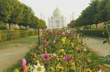 Private same day trip to Taj Mahal and Agra From Jaipur