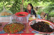 Half Day Floating Village ( Mechrey) & Tole Sap Tour