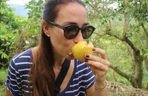 Chocolate Tour and tropical Fruits