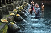 Bali Holy Bathing Ritual and Ubud Highlights tour