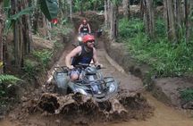 Bali ATV Ride with Jungle Swing and Rice Terrace Tour