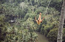 Bali Private Tour : Best Of Ubud & Volcano View With Jungle Swing