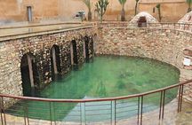Private Half-Day Tour of Tiznit from Agadir