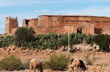 Amazigh Fortified Granaries