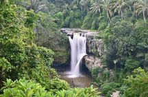 Bali Secret Waterfall Tour