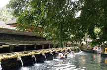 Bali Holy Bathing Ritual and Ubud Highlights tour