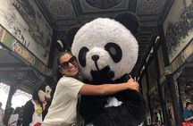 All-Inclusive Chengdu Highlight Panda Trip and Customizable Sites