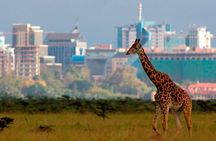 Half Day Sunrise Game - Drive of National Park Tour From Nairobi