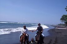 Horse Riding on the Black Sand Beach and Free Hotel Transfers