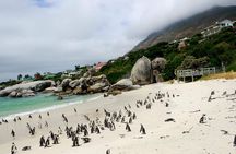 Half day Cape Point Sightseeing Tour with Penguins from Cape Town