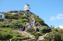Half day Cape Point Sightseeing Tour with Penguins from Cape Town