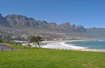 Half day Cape Point Sightseeing Tour with Penguins from Cape Town