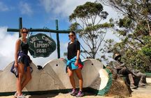 Day Excursion to Lipton Seat & Dambatenne Tea Factory from Ella