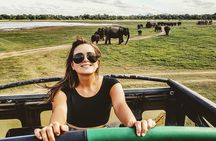 Udawalawe National Park Safari With Transfers From Colombo
