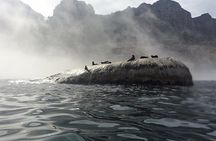 V&A Waterfront Marine Big 5 Ocean Safari