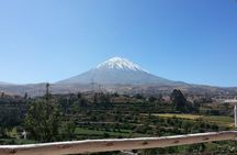 Fullday Colca Canyon with lunch from Arequipa