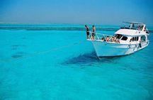 Snorkeling by Boat to Ras Mohamed and White island excursion in Sharm
