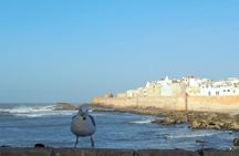Private Day Trip to Essaouira from Marrakech