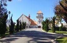 The Brazilian Switzerland - Day Trip on Campos do Jordão from São Paulo