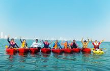 Live a Kayak Experience