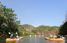 Wildlife and Mangrove Kayaking Tour Río Ora