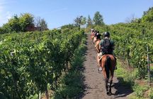 Scenic Horseback Ride, Wine Tasting & Lunch on Mt. Vesuvius