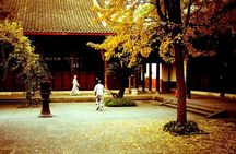 Chengdu Food Tour with Wenshu Yuan Monastery Visit