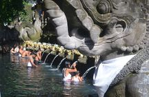 Ubud Kintamani Private Tour