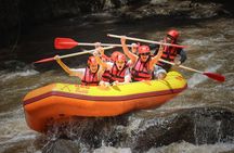 Ubud White Water Rafting Adventure 