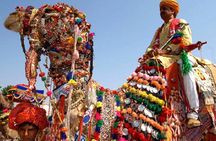 Private Same Day Trip to Pushkar from Jaipur