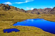 Private Cajas National Park Half-Day Tour from Cuenca