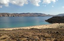 Mykonos island tour in small group up to 11 people.