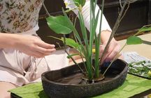 Ikebana Experience in Kyoto Townhouse