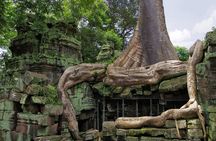  Golden Hours: Angkor wat sunrise photography tour with a pro!