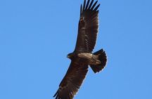 Birdwatching and cultural heritage tour from Varna