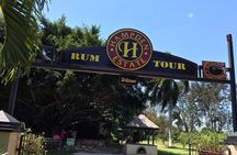 Hampden Estate Rum Tour and Lunch from Falmouth