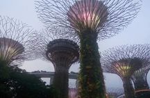 Private Full Day Singapore Highlights Tour