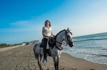 Horseback Riding Tour in Beach of Cartagena
