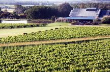 Hunter Valley Private Wine Tasting Tour from Sydney