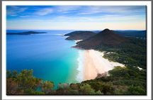 Private Port Stephens Day Trip from Sydney incl Dolphin Cruise