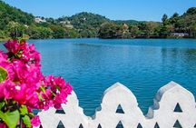 Full day Kandy walking tour with TUK TUK ride to Peradeniya gardens