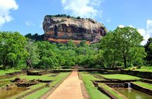 Full-Day Private Tour to Sigiriya and Dambulla