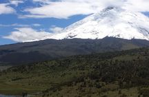 Cotopaxi Volcano (PRIVATE Day Trip from Quito)