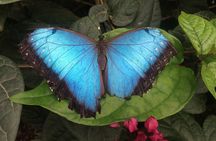 Mindo Cloud Forest (PRIVATE Day Trip from Quito)