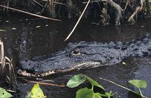1.5 Hr Guided Private Everglades Airboat Tour, Fort Lauderdale