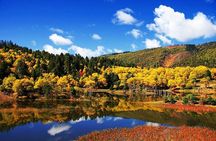 1 Day Shangri-la City Tour with Pudacuo National Park