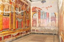 Skip-the-Line Half-Day Private Tour Ancient Pompeii Highlights with Native Guide