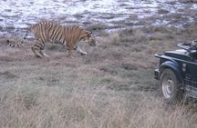 Ranthambhore National Park 
