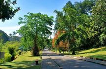 Private Tour: Full Day Center Penang Island Tour